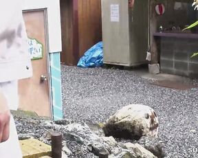 [Reducing Mosaic]DRPT-040 Noshon Girls ○ Raw Chained Open Leg Restraint Pee Injection 2 Sara Uruki Konatsu Kashiwagi Ai Amano