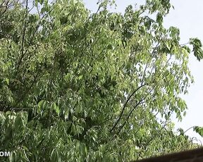 [Reducing Mosaic]MIAA-002 Why Do Not You Try Swallowing Something With My Sister Or Your Sister Or Something Else To Vaginal Cum Shot 06 Mari Takasugi Arira Miyuka