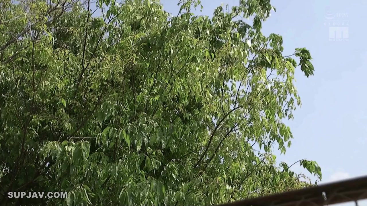 [Reducing Mosaic]MIAA-002 Why Do Not You Try Swallowing Something With My Sister Or Your Sister Or Something Else To Vaginal Cum Shot 06 Mari Takasugi Arira Miyuka